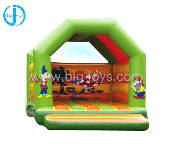 Inflatable bouncer