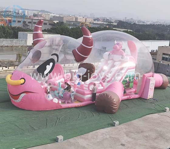 Inflatable Transparent Pink Pig