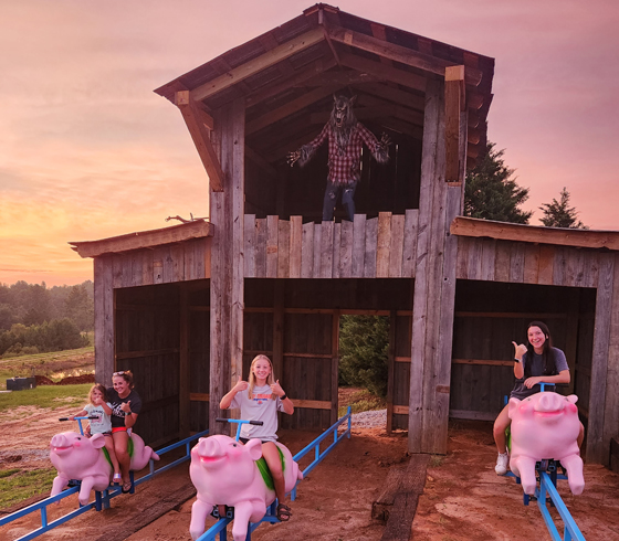 Race pig rides